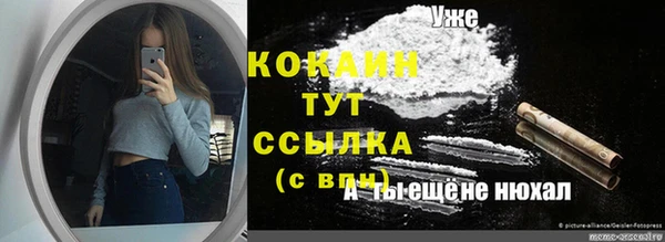 прущие грибы Анива