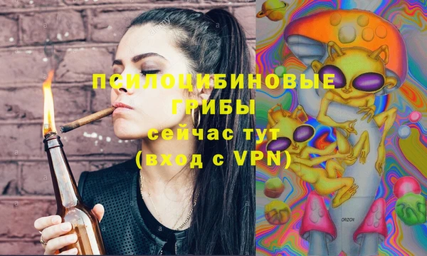 прущие грибы Анива