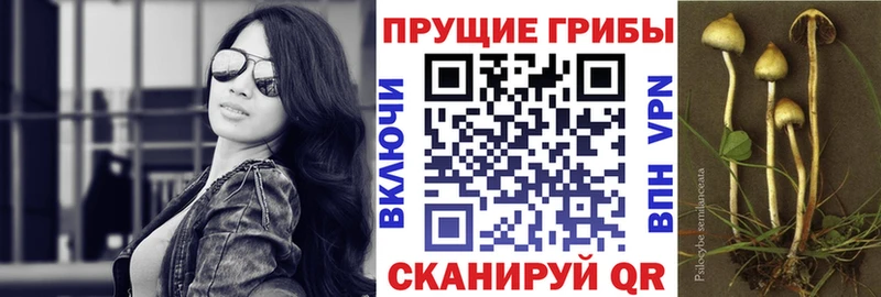 Псилоцибиновые грибы MAGIC MUSHROOMS  Реутов 