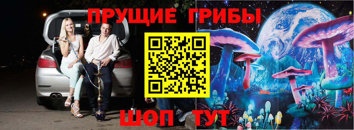 Псилоцибиновые грибы прущие грибы  Вход с VPN  Псилоцибиновые грибы мицелий  Реутов 