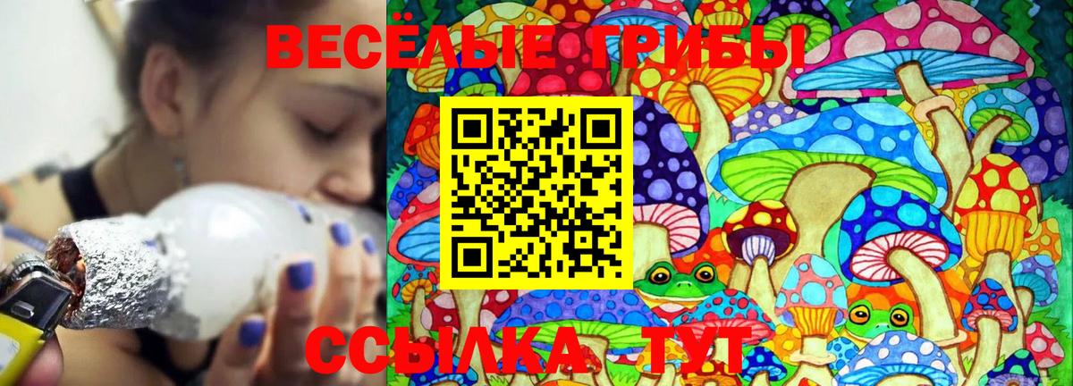 Галлюциногенные грибы ЛСД Реутов