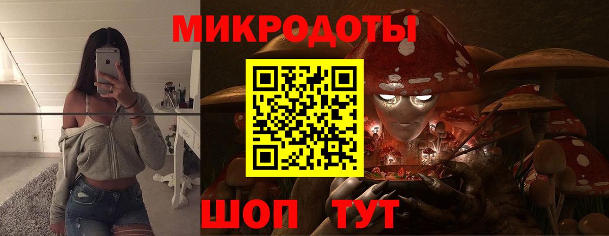 Галлюциногенные грибы Psilocybine cubensis  Реутов 